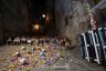 La fotogallery della Festa dei Tabernacoli 2018